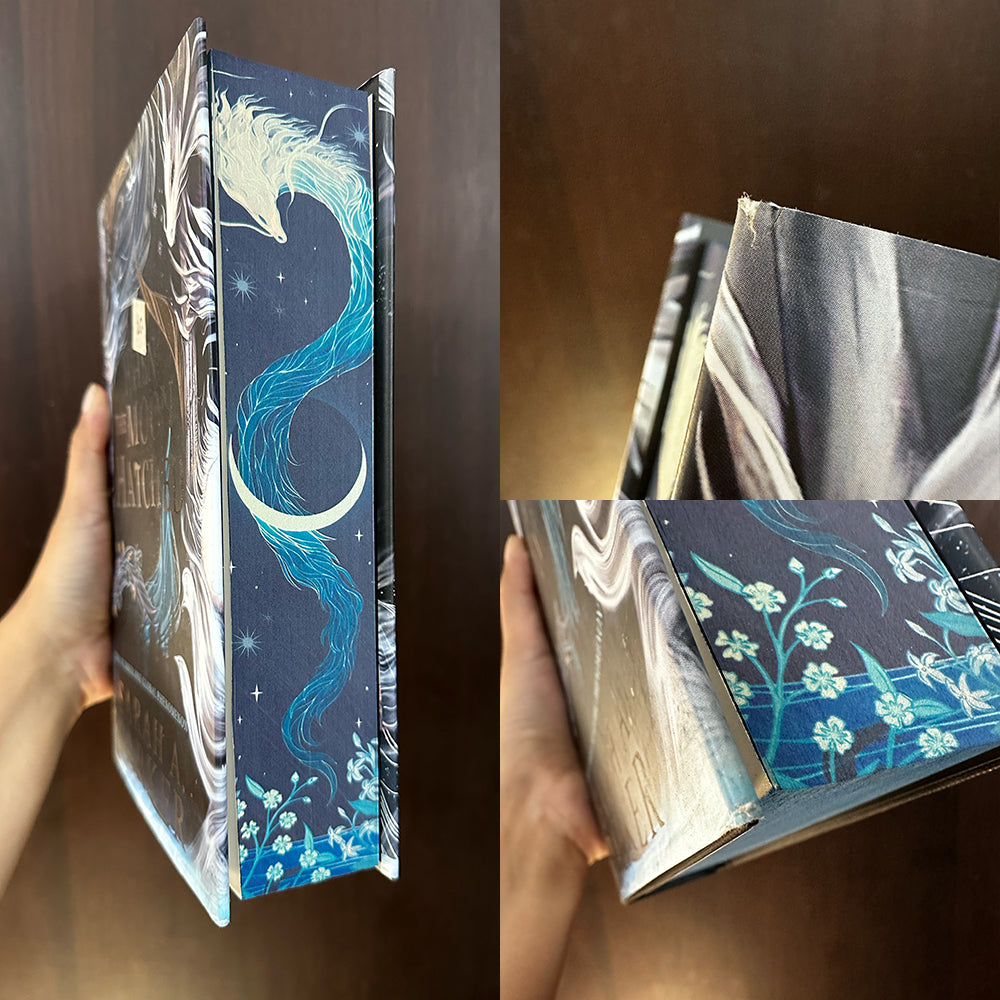 When the Moon Hatched Damaged