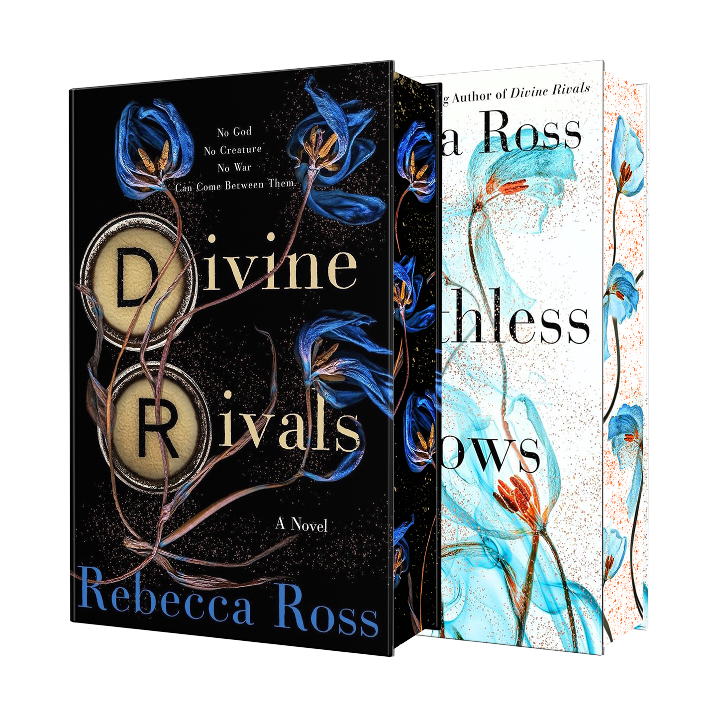 Letters of Enchantment Limited Edition Set