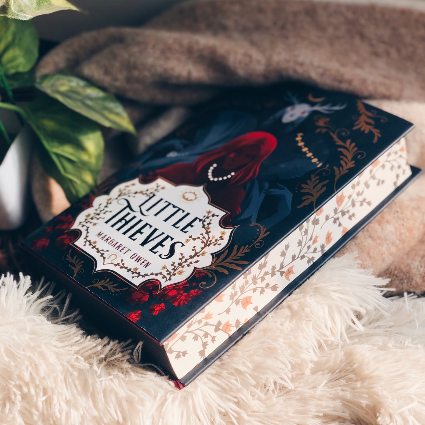 Little Thieves Custom Edition