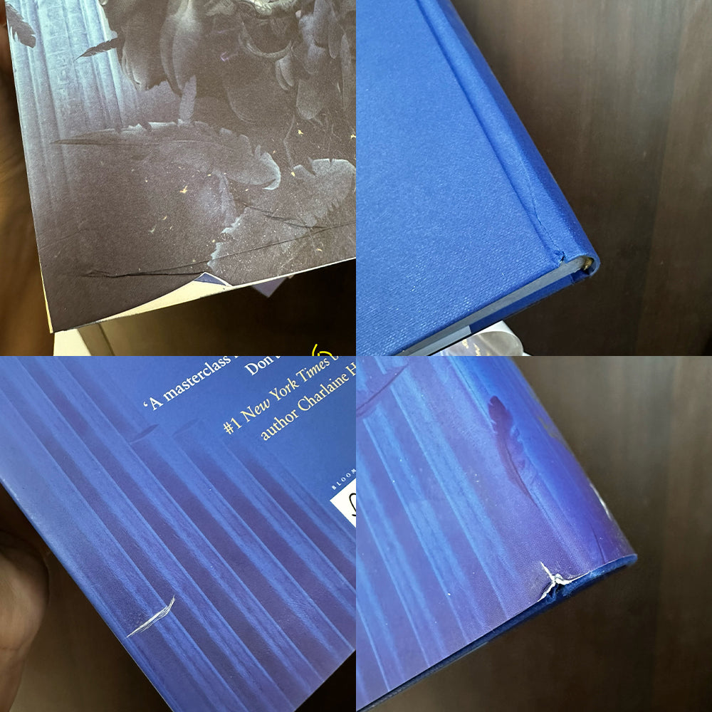 Crescent City Damaged