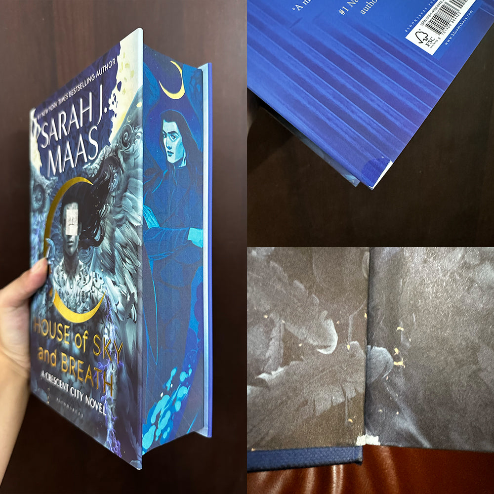 Crescent City Damaged