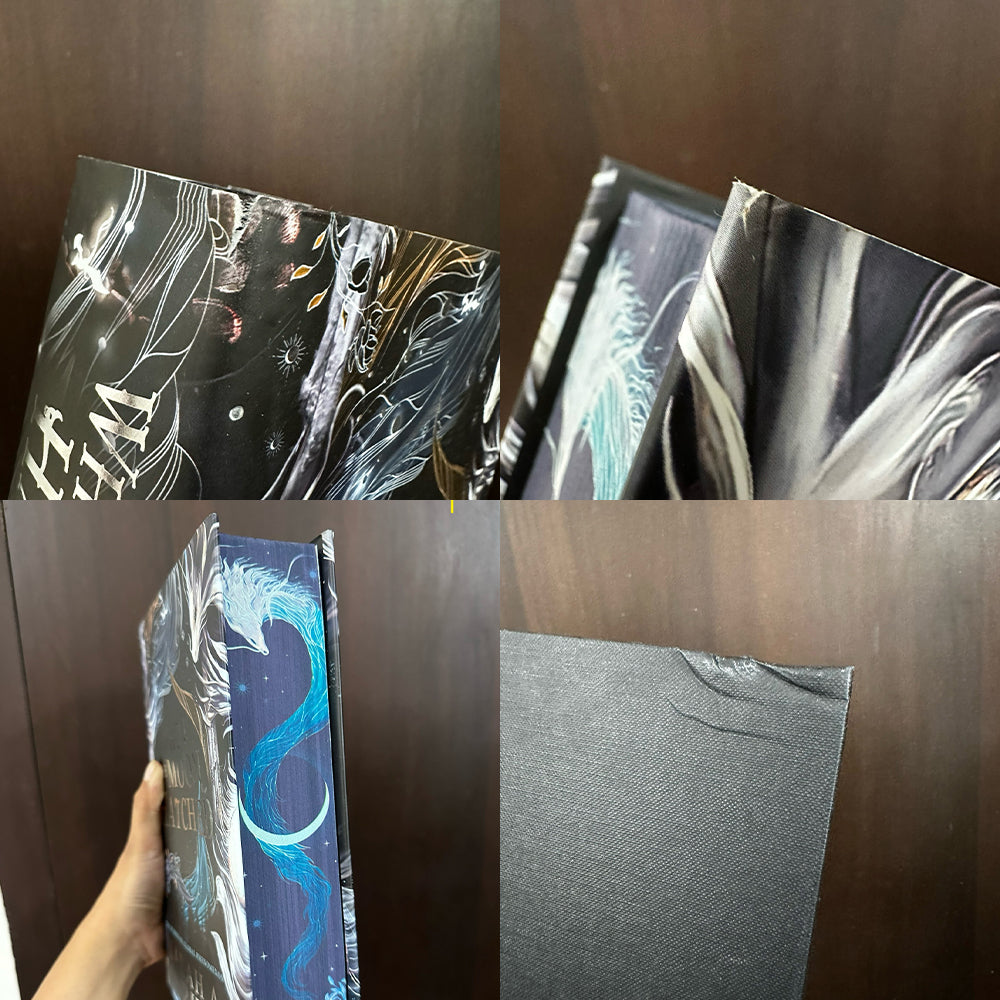 When the Moon Hatched Damaged