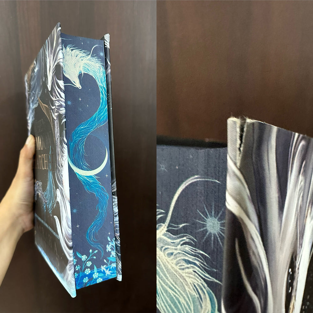 When the Moon Hatched Damaged