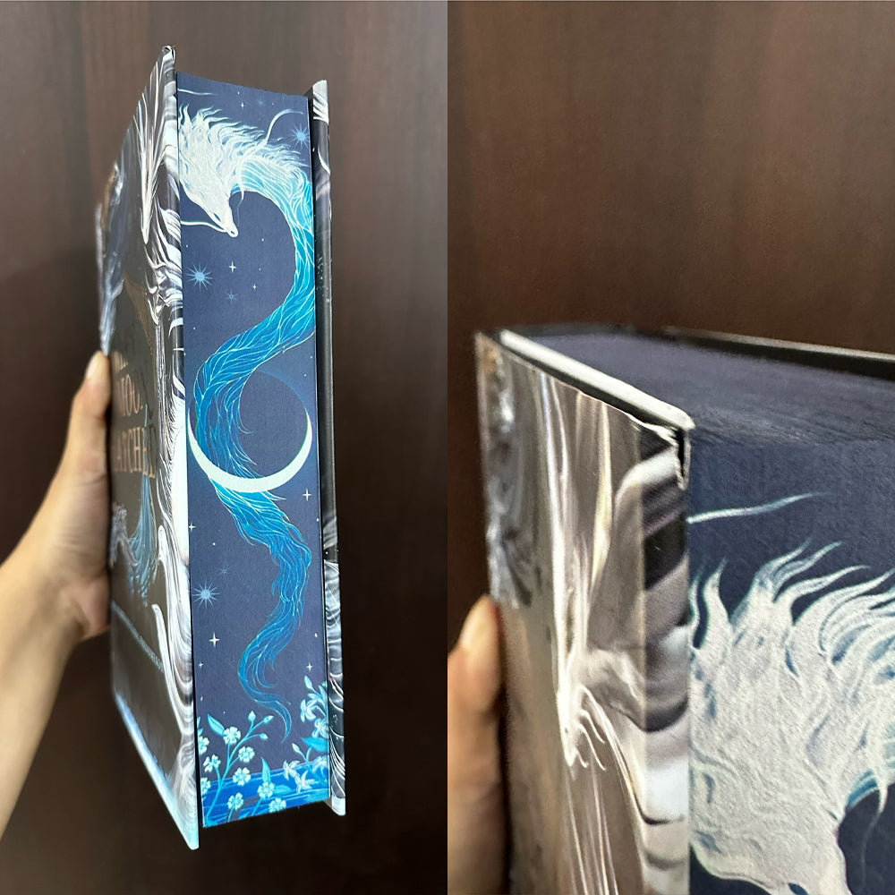 When the Moon Hatched Damaged