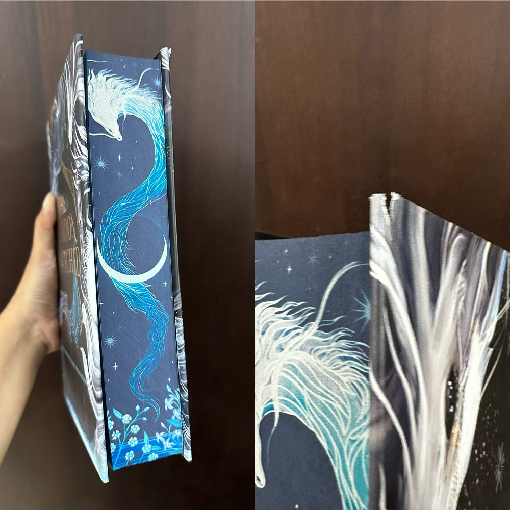 When the Moon Hatched Damaged