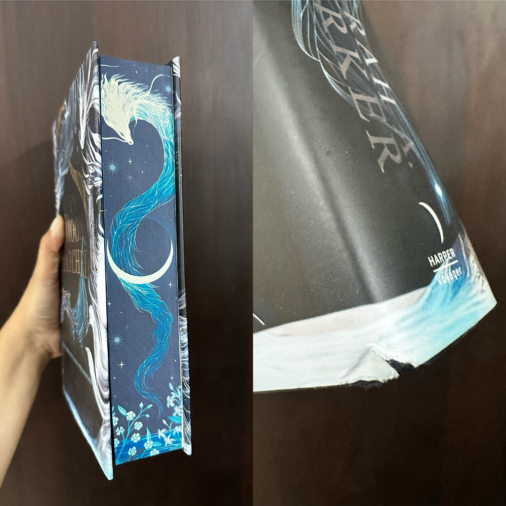 When the Moon Hatched Damaged