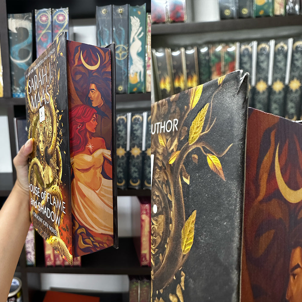 Crescent City Damaged