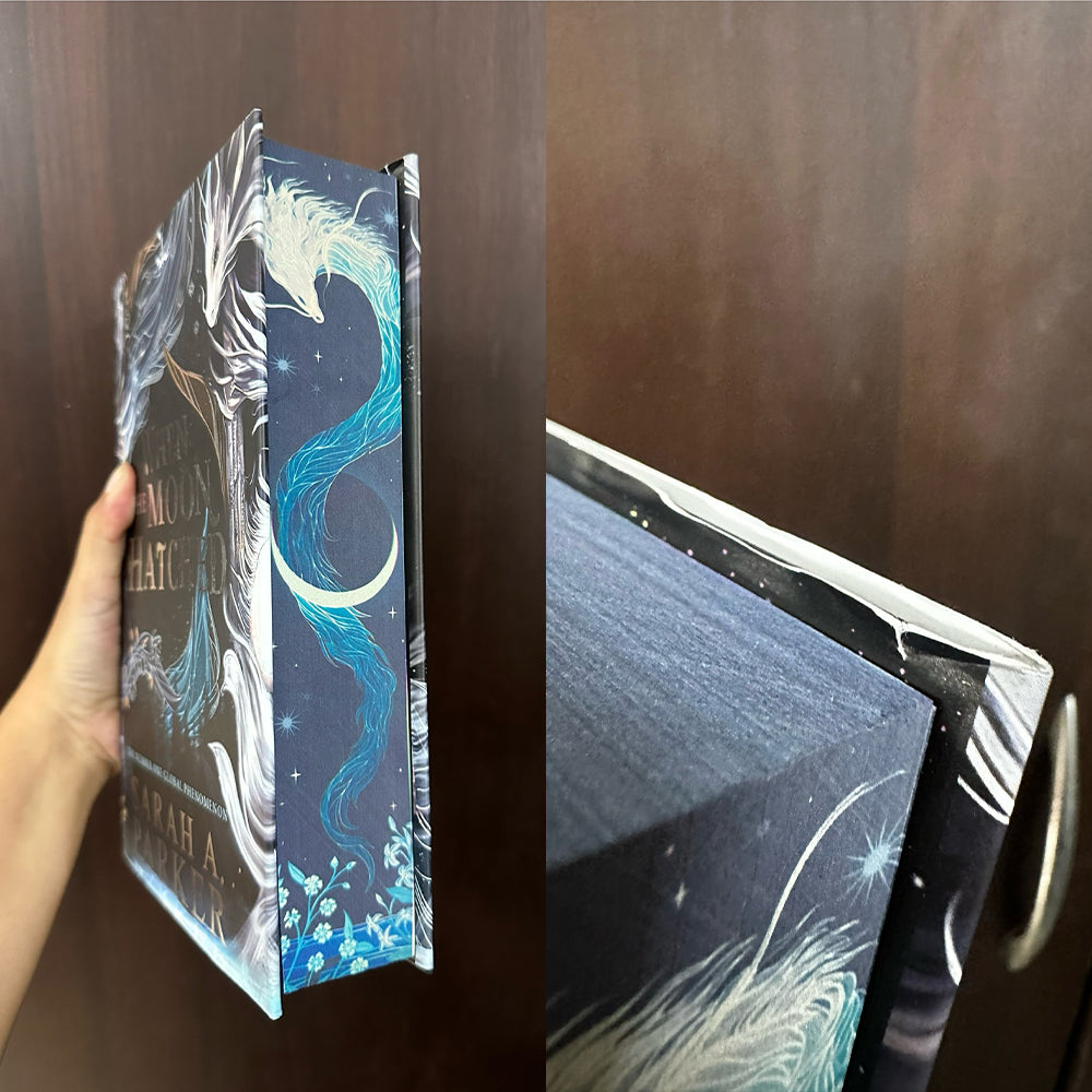 When the Moon Hatched Damaged