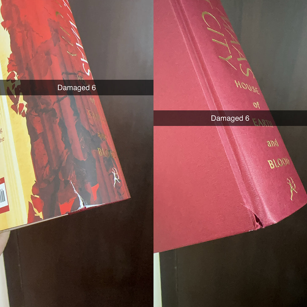 Crescent City Damaged