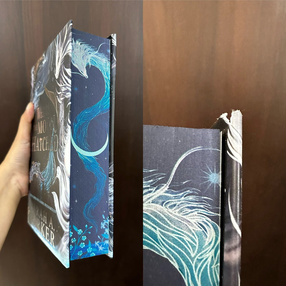 When the Moon Hatched Damaged