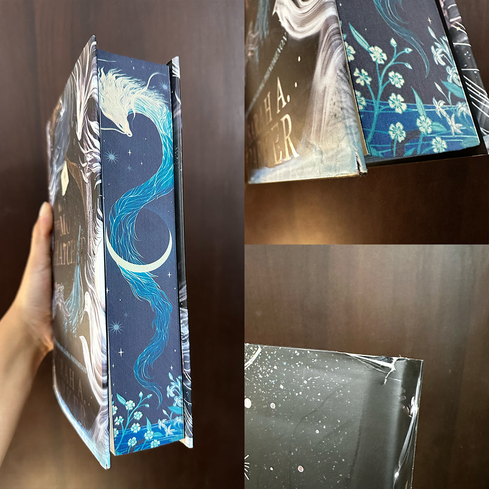 When the Moon Hatched Damaged