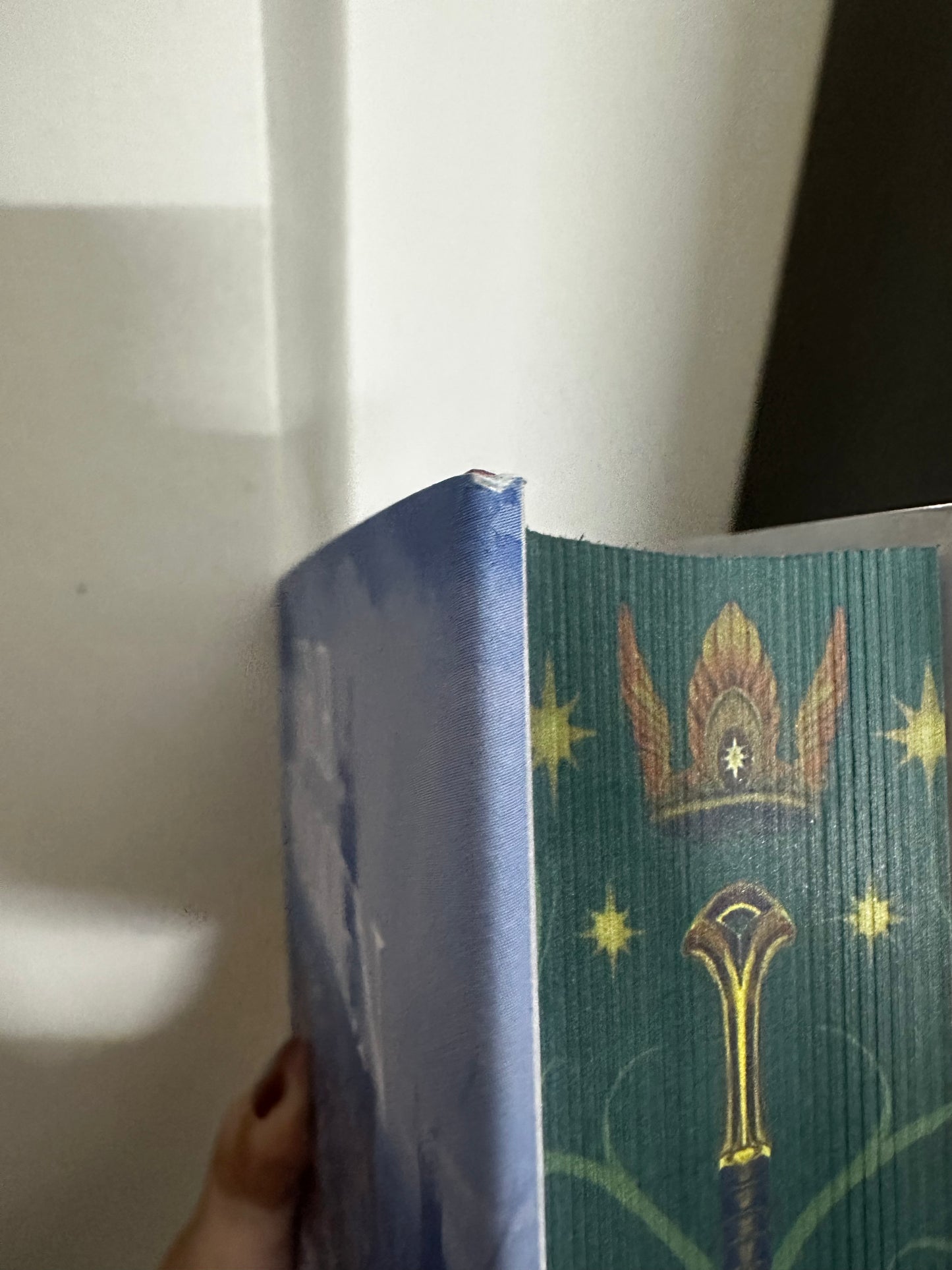 Lord of the Rings Damaged